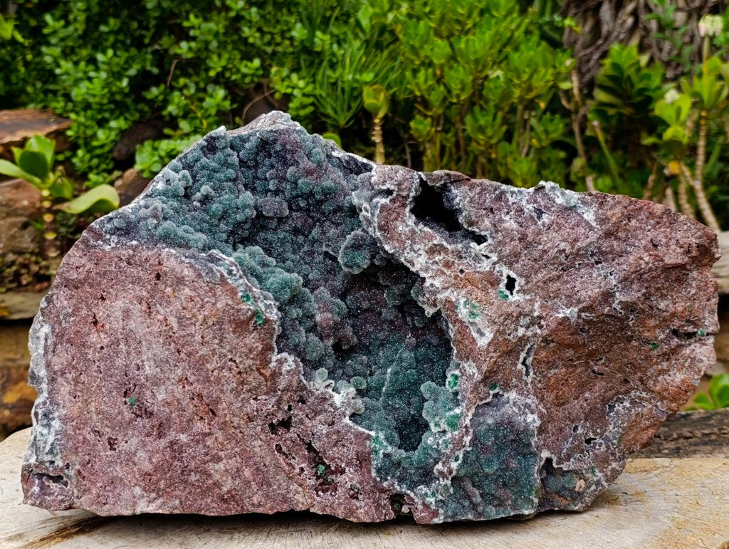 Natural XXL Ball Malachite and Drusy Quartz on Red Dolomite Specimen x 1 From Mindingi Mine, Kambove, Congo - Toprock Gemstones and Minerals 