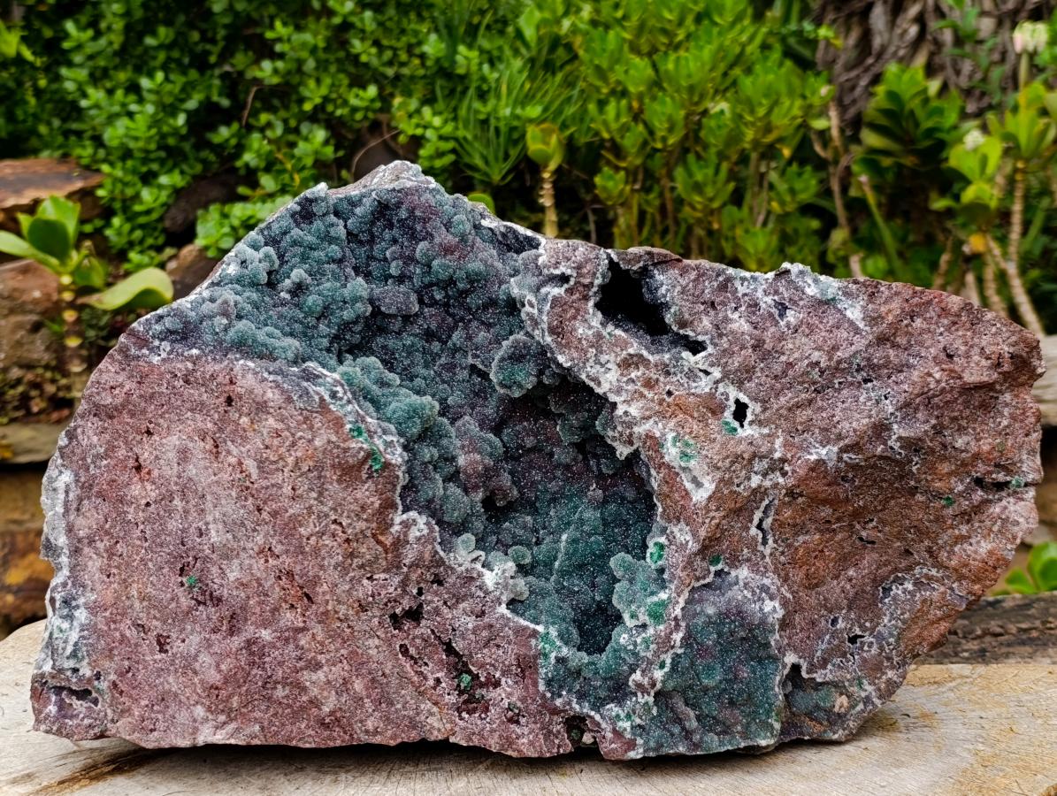 Natural XXL Ball Malachite and Drusy Quartz on Red Dolomite Specimen x 1 From Mindingi Mine, Kambove, Congo - Toprock Gemstones and Minerals 