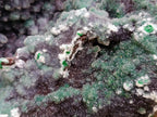 Natural XXL Ball Malachite and Drusy Quartz on Red Dolomite Specimen x 1 From Mindingi Mine, Kambove, Congo - Toprock Gemstones and Minerals 