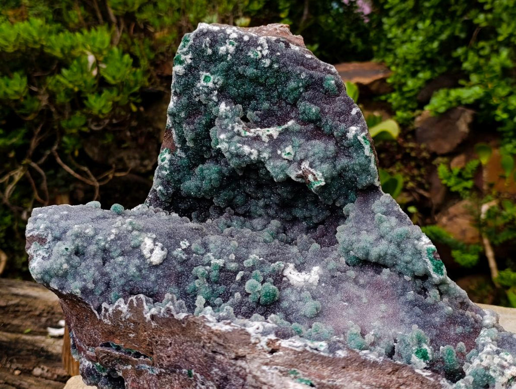 Natural XXL Ball Malachite and Drusy Quartz on Red Dolomite Specimen x 1 From Mindingi Mine, Kambove, Congo - Toprock Gemstones and Minerals 