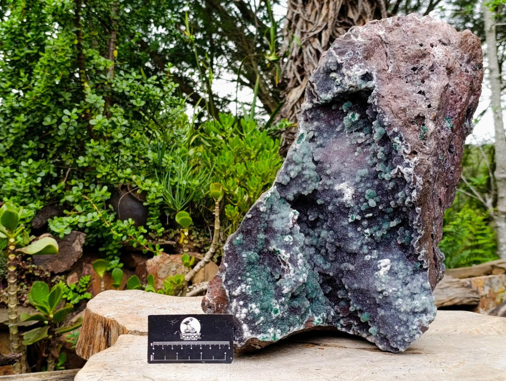 Natural XXL Ball Malachite and Drusy Quartz on Red Dolomite Specimen x 1 From Mindingi Mine, Kambove, Congo - Toprock Gemstones and Minerals 