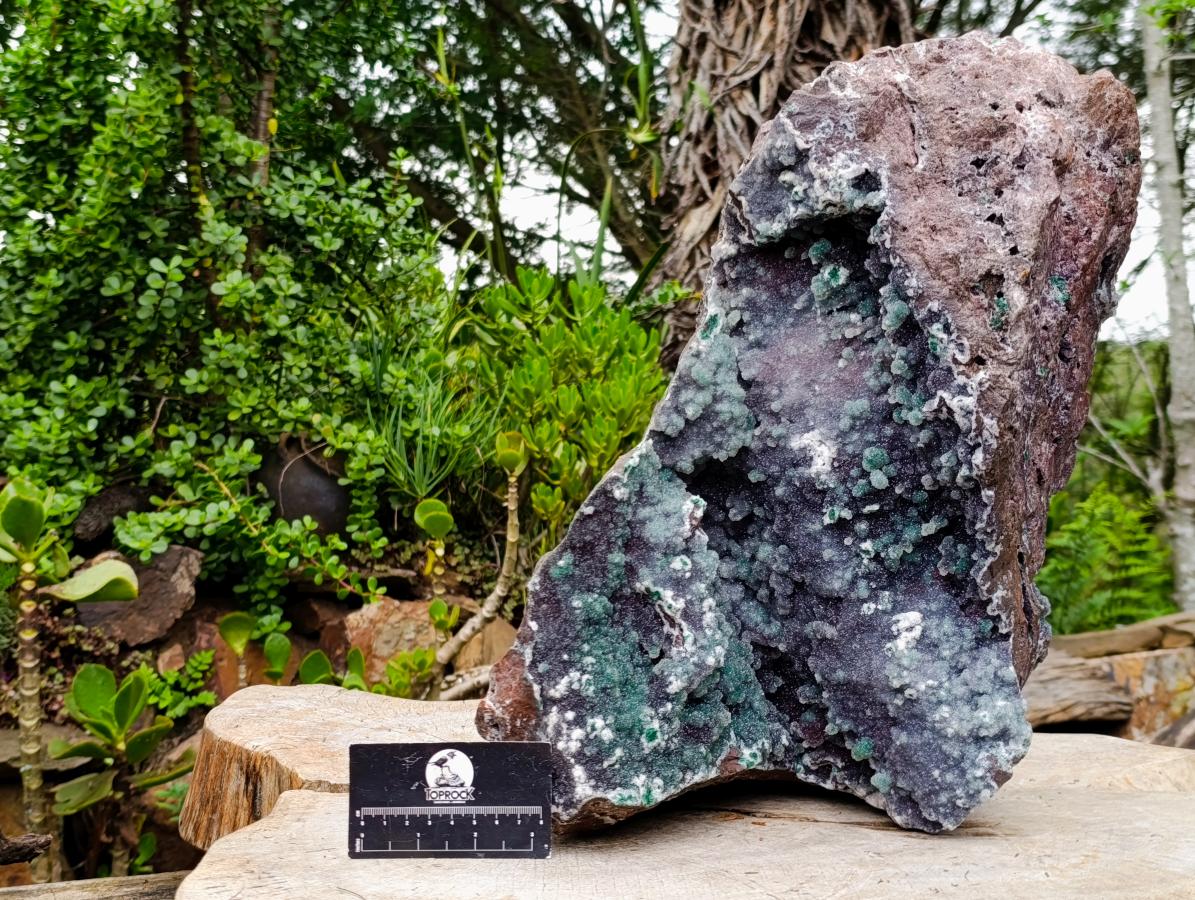 Natural XXL Ball Malachite and Drusy Quartz on Red Dolomite Specimen x 1 From Mindingi Mine, Kambove, Congo - Toprock Gemstones and Minerals 
