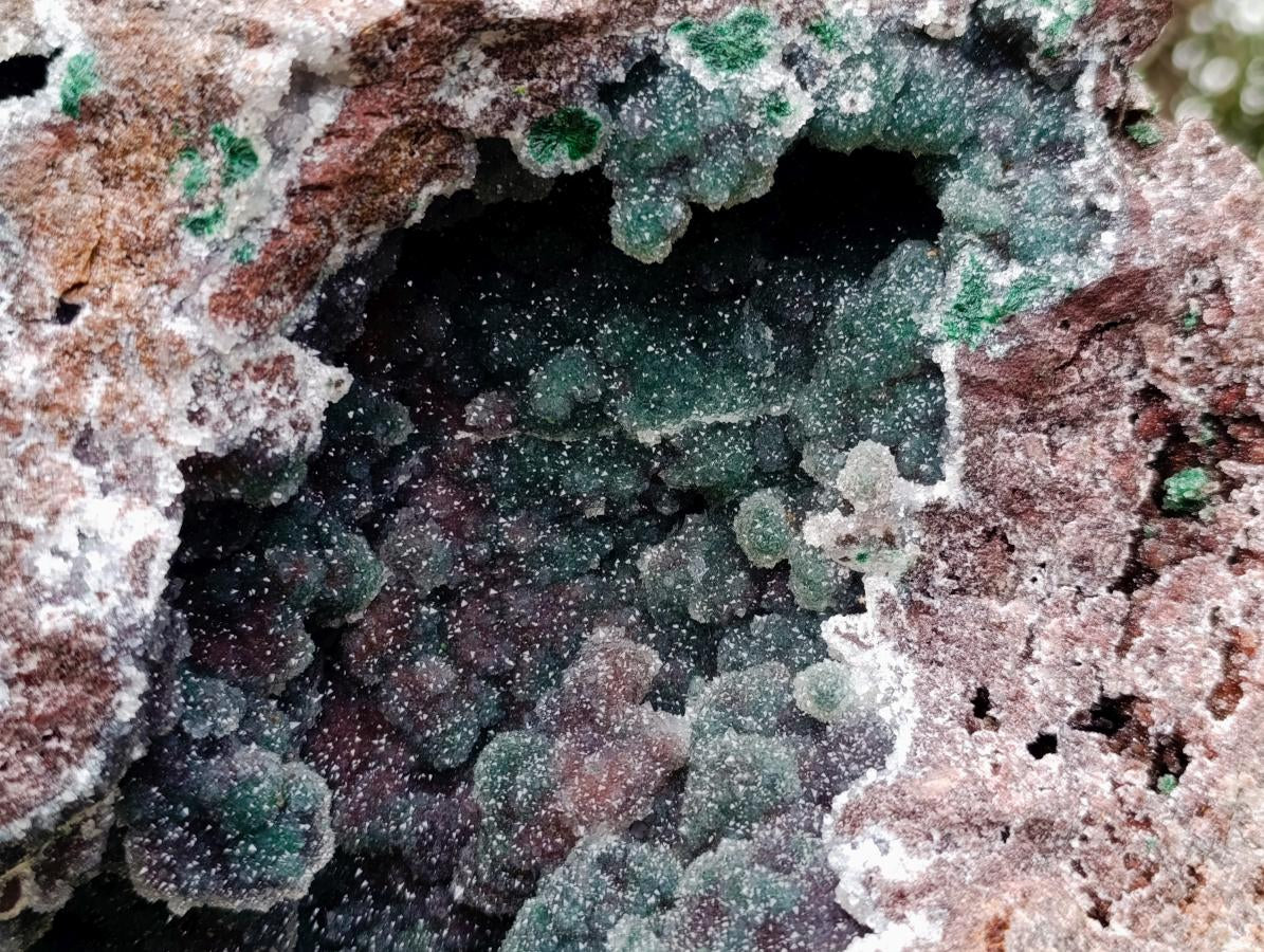 Natural XXL Ball Malachite and Drusy Quartz on Red Dolomite Specimen x 1 From Mindingi Mine, Kambove, Congo - Toprock Gemstones and Minerals 