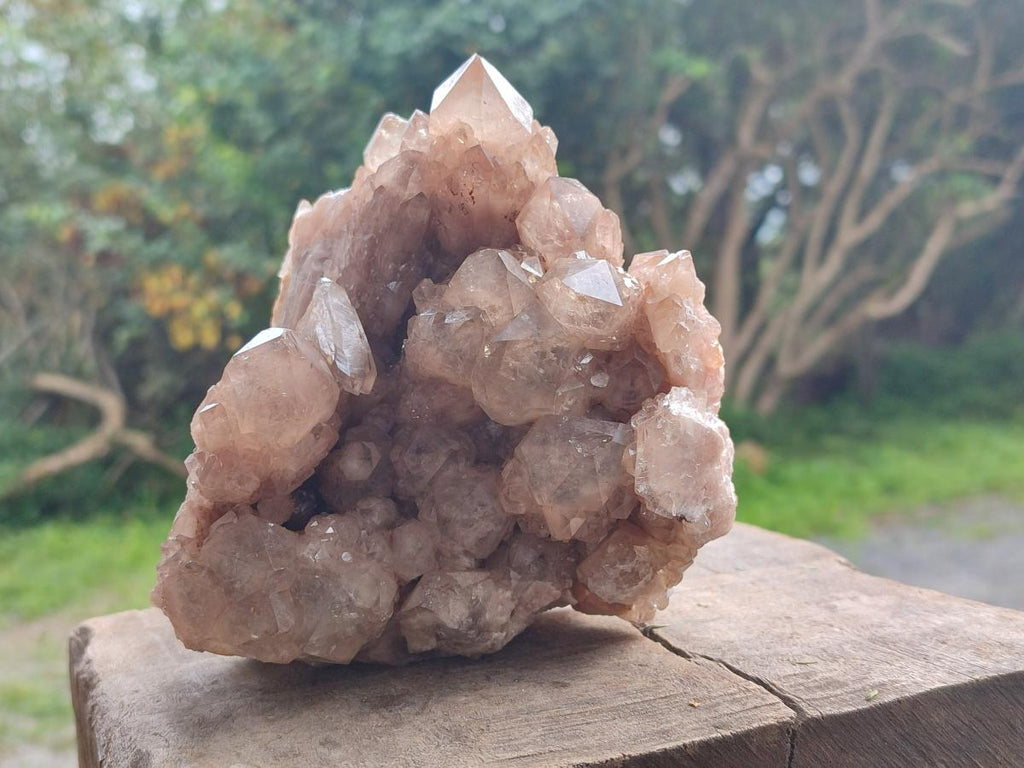Natural Large Cascading Phantom Smokey Luena Quartz Crystal Cluster x 1 From Luena, Congo - Toprock Gemstones and Minerals 