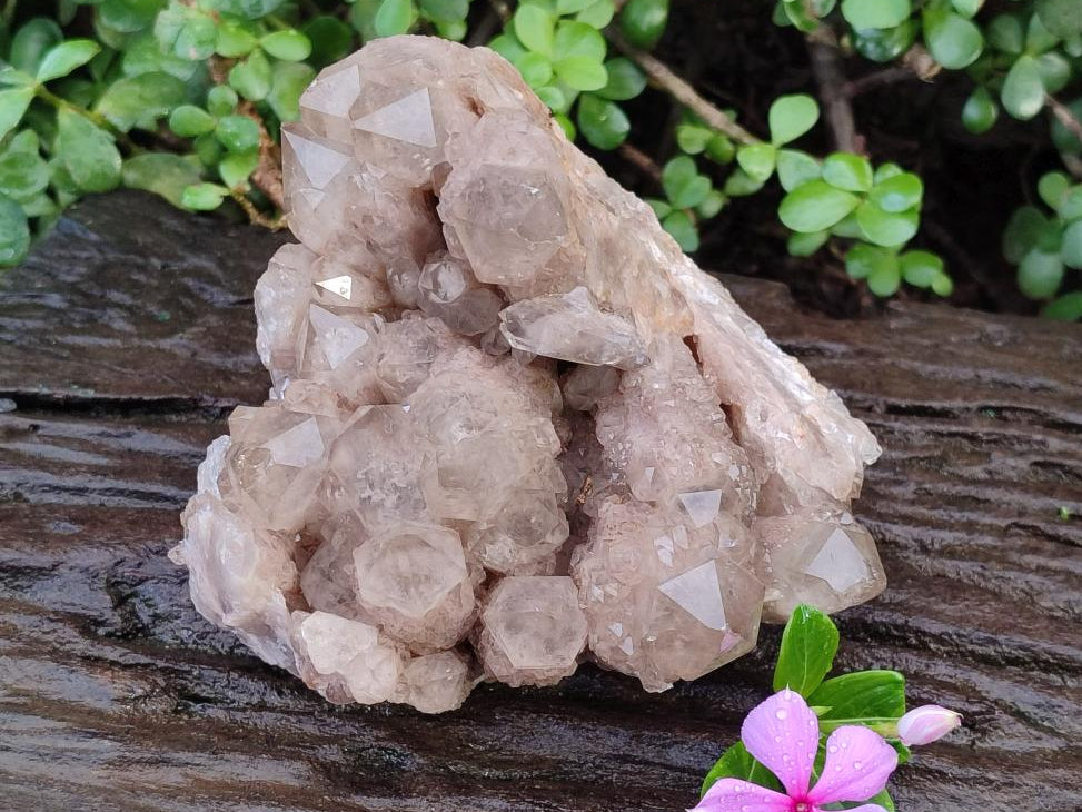 Natural Large Cascading Phantom Smokey Luena Quartz Crystal Cluster x 1 From Luena, Congo - Toprock Gemstones and Minerals 