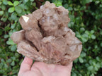 Natural Large Cascading Phantom Smokey Luena Quartz Crystal Cluster x 1 From Luena, Congo - Toprock Gemstones and Minerals 