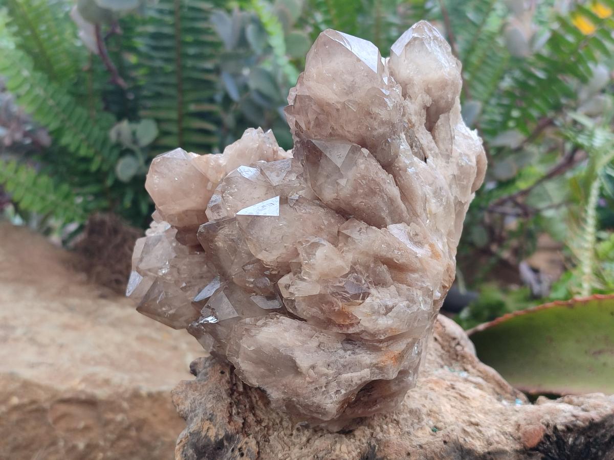 Natural Large Cascading Phantom Smokey Luena Quartz Crystal Cluster x 1 From Luena, Congo - Toprock Gemstones and Minerals 
