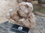 Natural Large Cascading Phantom Smokey Luena Quartz Crystal Cluster x 1 From Luena, Congo - Toprock Gemstones and Minerals 
