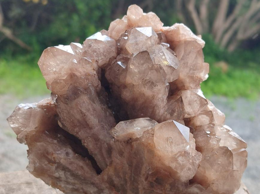 Natural Large Cascading Phantom Smokey Luena Quartz Crystal Cluster x 1 From Luena, Congo - Toprock Gemstones and Minerals 