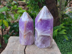 Polished Chevron Amethyst Display Crystals x 2 From Madagascar - Toprock Gemstones and Minerals 