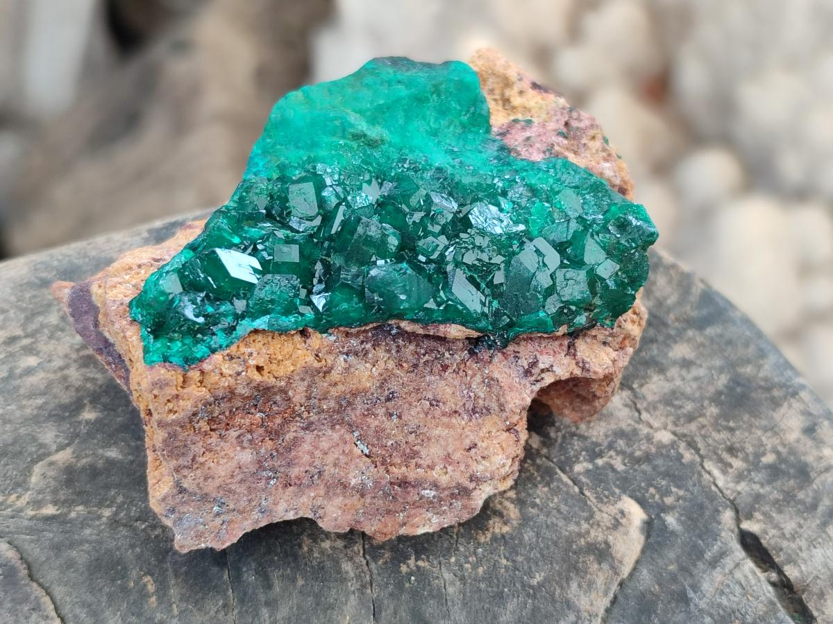 Natural Cabinet Dioptase on Dolomite Specimens x 4 From Likasi, Congo - Toprock Gemstones and Minerals 