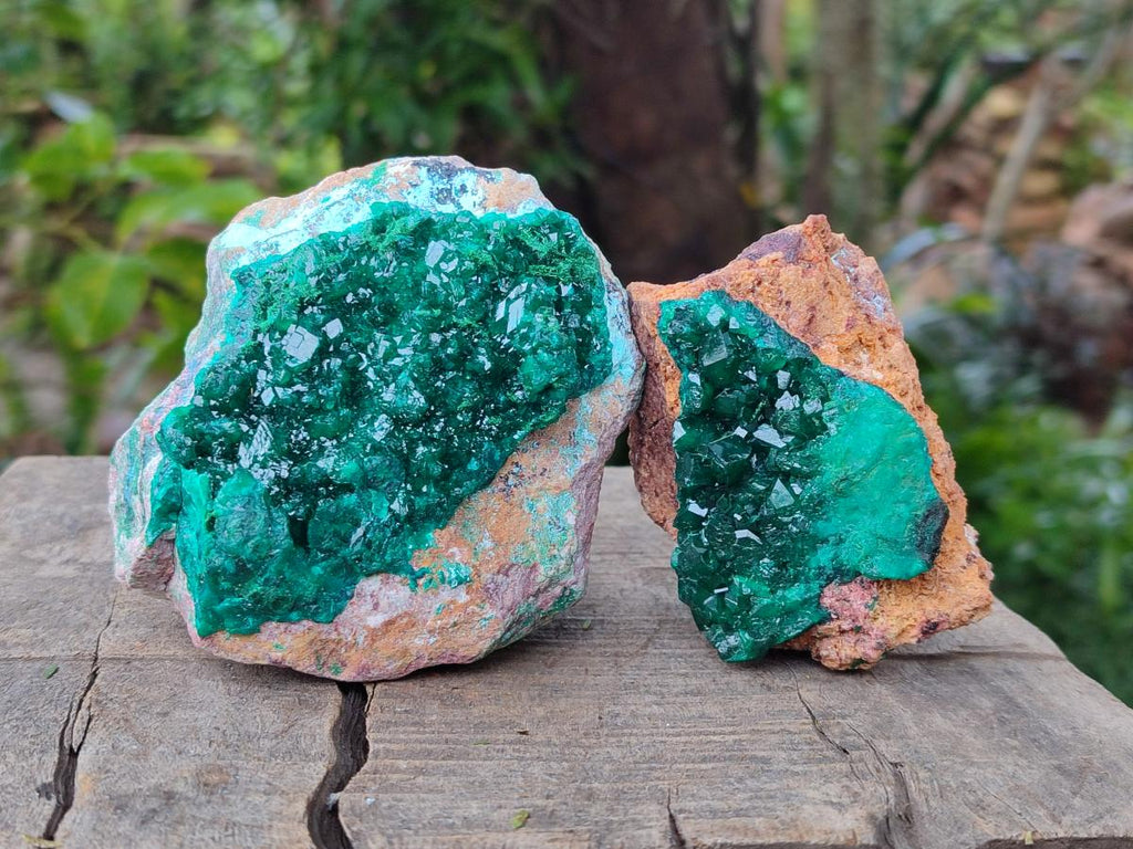 Natural Cabinet Dioptase on Dolomite Specimens x 4 From Likasi, Congo - Toprock Gemstones and Minerals 