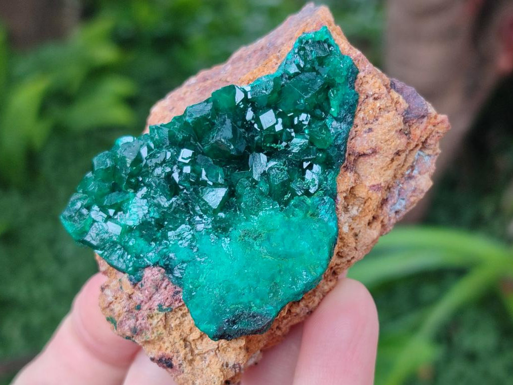 Natural Cabinet Dioptase on Dolomite Specimens x 4 From Likasi, Congo - Toprock Gemstones and Minerals 
