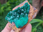 Natural Cabinet Dioptase on Dolomite Specimens x 4 From Likasi, Congo - Toprock Gemstones and Minerals 