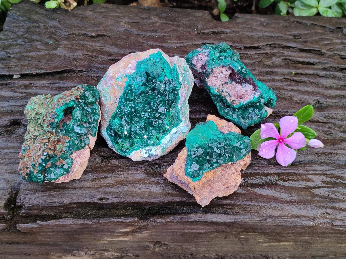 Natural Cabinet Dioptase on Dolomite Specimens x 4 From Likasi, Congo - Toprock Gemstones and Minerals 
