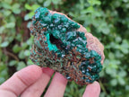 Natural Cabinet Dioptase on Dolomite Specimens x 4 From Likasi, Congo - Toprock Gemstones and Minerals 