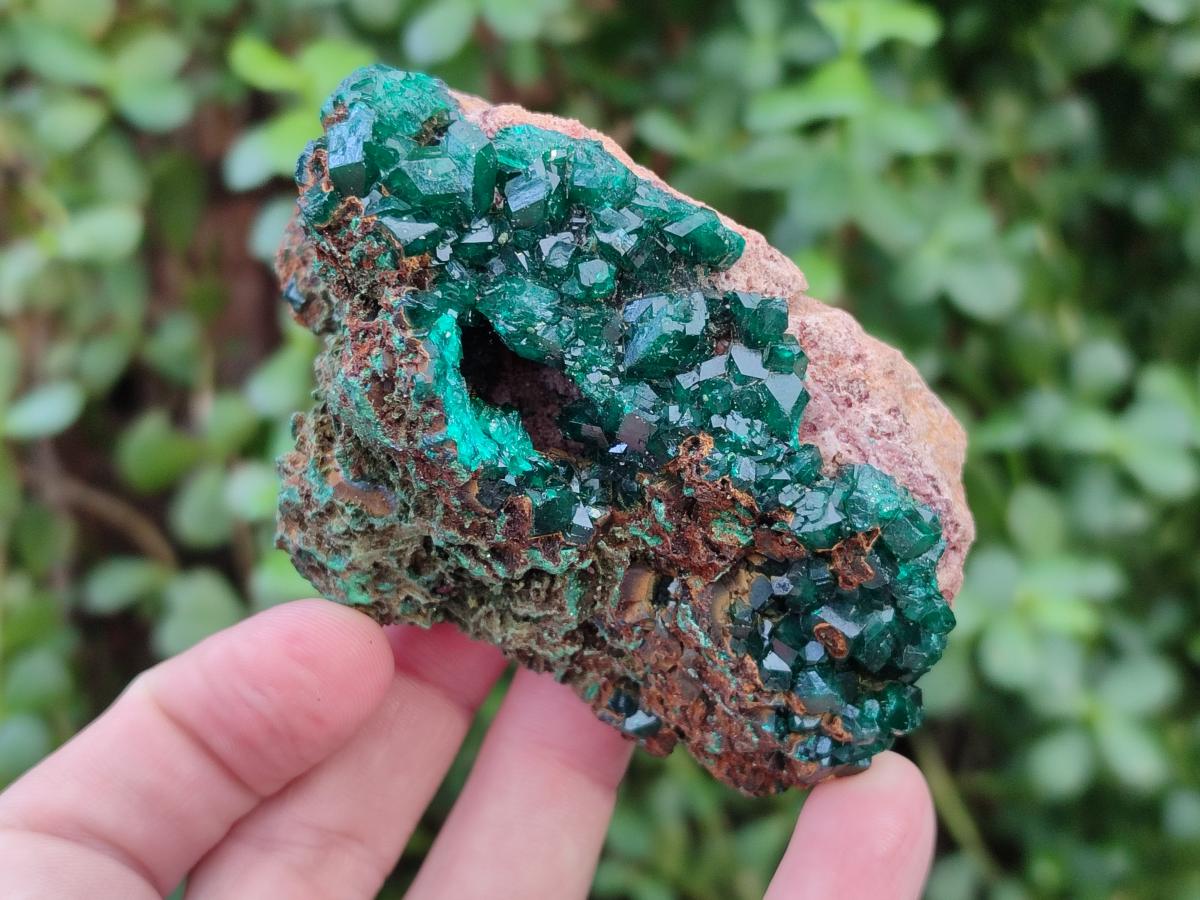 Natural Cabinet Dioptase on Dolomite Specimens x 4 From Likasi, Congo - Toprock Gemstones and Minerals 
