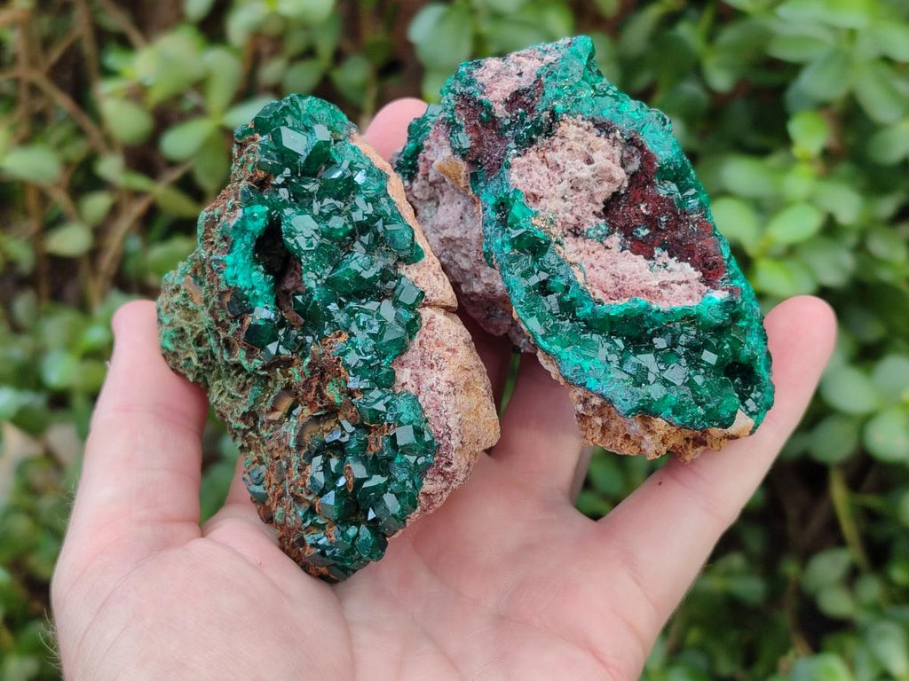 Natural Cabinet Dioptase on Dolomite Specimens x 4 From Likasi, Congo - Toprock Gemstones and Minerals 