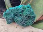 Natural Cabinet Dioptase on Dolomite Specimens x 4 From Likasi, Congo - Toprock Gemstones and Minerals 