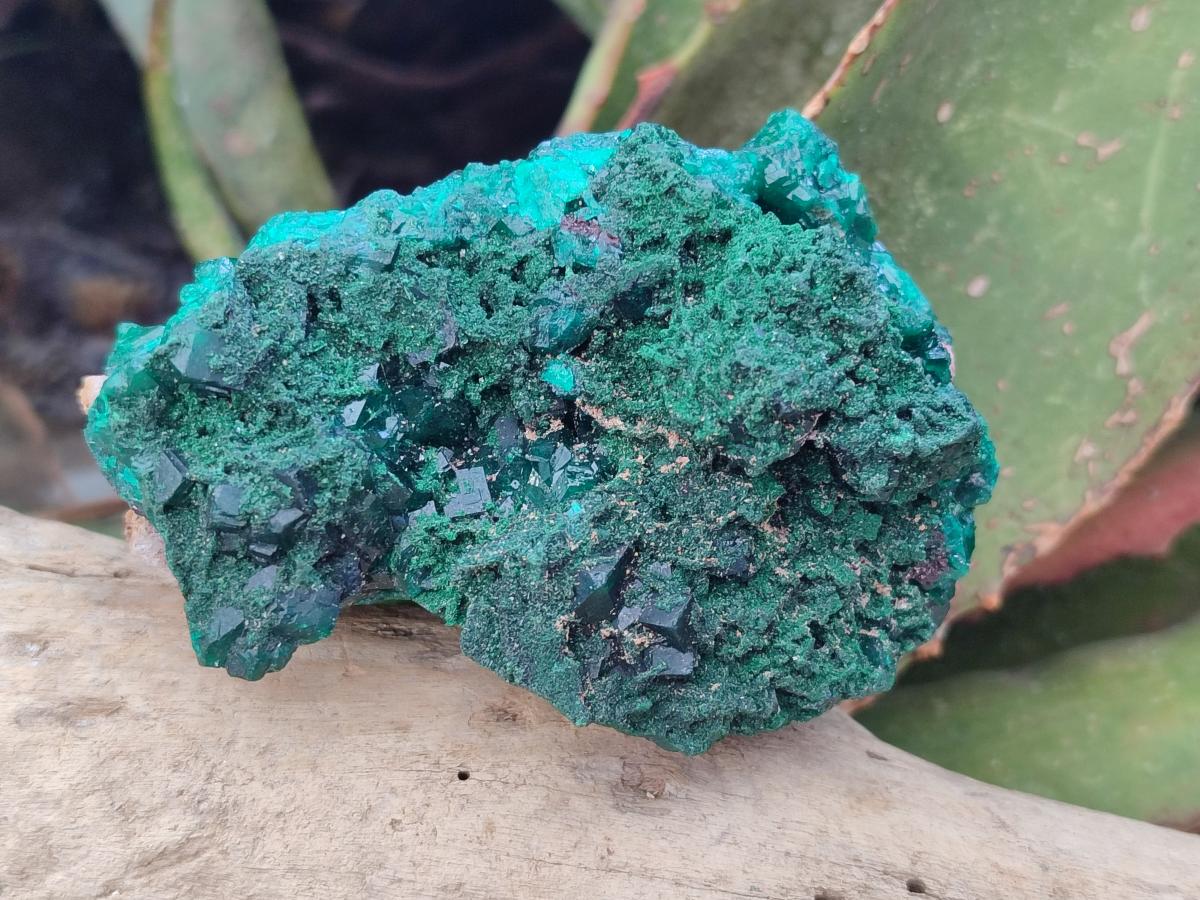 Natural Cabinet Dioptase on Dolomite Specimens x 4 From Likasi, Congo - Toprock Gemstones and Minerals 