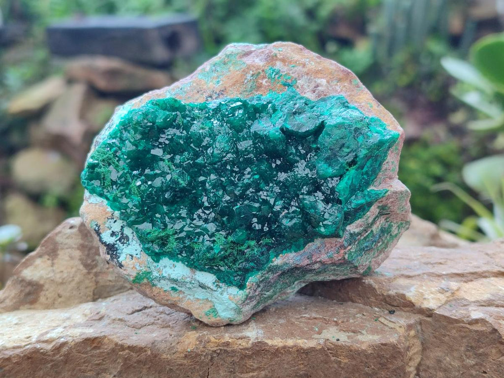 Natural Cabinet Dioptase on Dolomite Specimens x 4 From Likasi, Congo - Toprock Gemstones and Minerals 