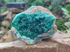 Natural Cabinet Dioptase on Dolomite Specimens x 4 From Likasi, Congo - Toprock Gemstones and Minerals 