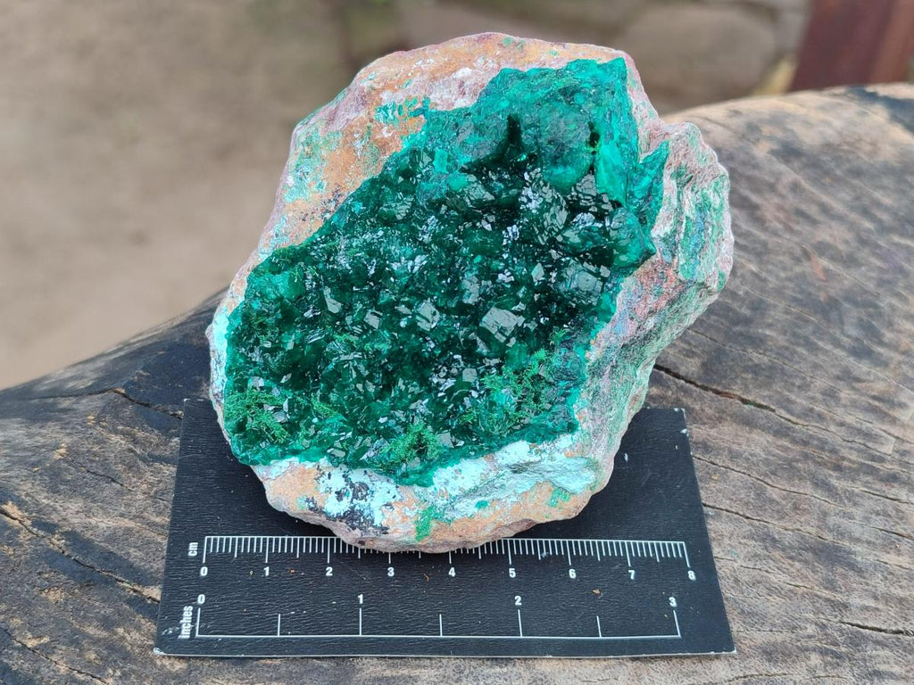Natural Cabinet Dioptase on Dolomite Specimens x 4 From Likasi, Congo - Toprock Gemstones and Minerals 