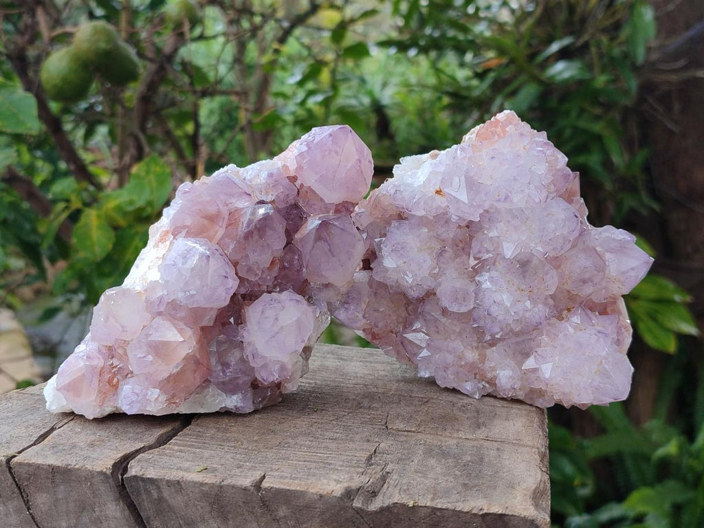 Natural Sunburst Spirit Amethyst Clusters x 2 From Boekenhouthoek, South Africa - Toprock Gemstones and Minerals 