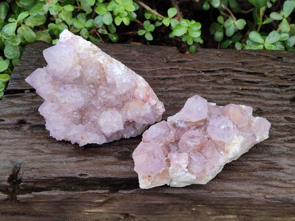 Natural Sunburst Spirit Amethyst Clusters x 2 From Boekenhouthoek, South Africa - Toprock Gemstones and Minerals 