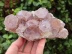Natural Sunburst Spirit Amethyst Clusters x 2 From Boekenhouthoek, South Africa - Toprock Gemstones and Minerals 