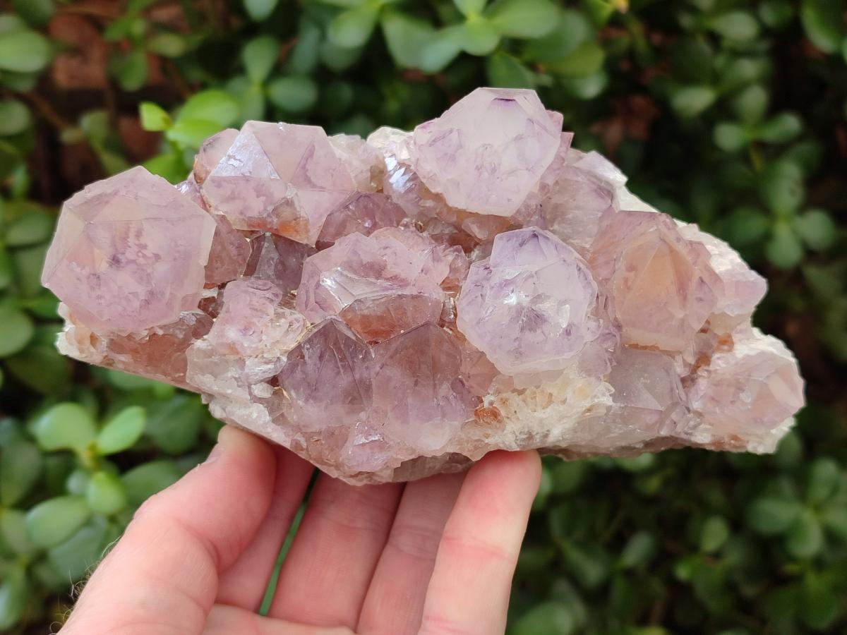 Natural Sunburst Spirit Amethyst Clusters x 2 From Boekenhouthoek, South Africa - Toprock Gemstones and Minerals 