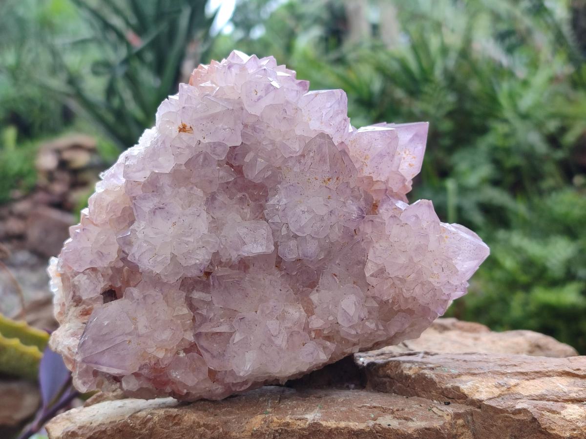 Natural Sunburst Spirit Amethyst Clusters x 2 From Boekenhouthoek, South Africa - Toprock Gemstones and Minerals 
