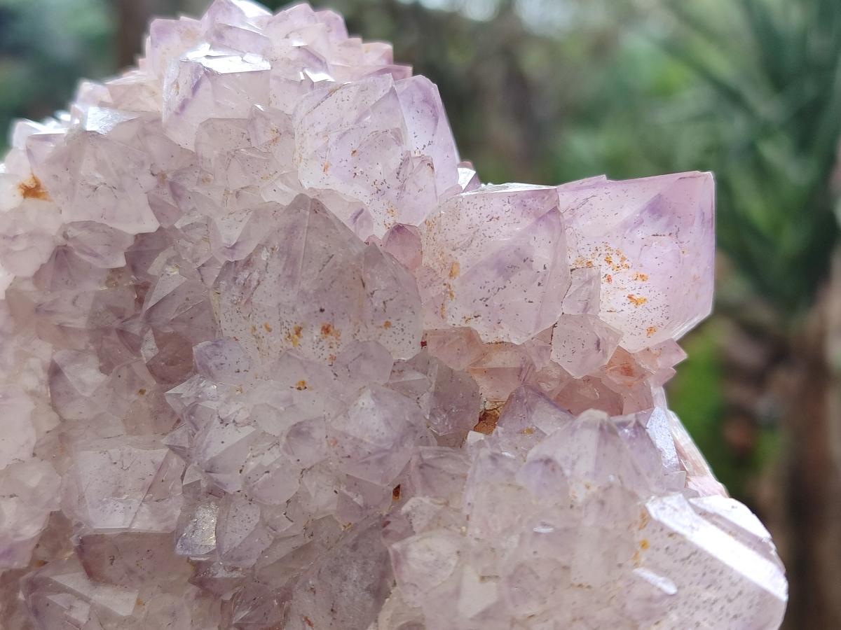 Natural Sunburst Spirit Amethyst Clusters x 2 From Boekenhouthoek, South Africa - Toprock Gemstones and Minerals 