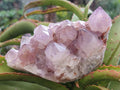 Natural Sunburst Spirit Amethyst Clusters x 2 From Boekenhouthoek, South Africa - Toprock Gemstones and Minerals 