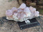Natural Sunburst Spirit Amethyst Clusters x 2 From Boekenhouthoek, South Africa - Toprock Gemstones and Minerals 