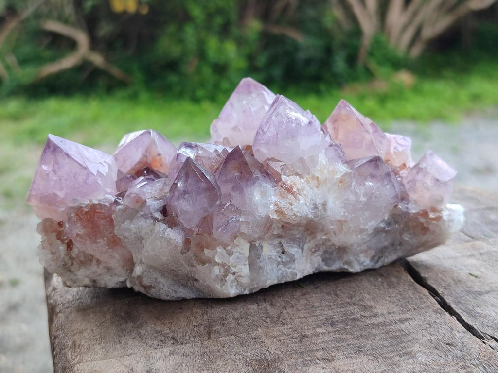Natural Sunburst Spirit Amethyst Clusters x 2 From Boekenhouthoek, South Africa - Toprock Gemstones and Minerals 