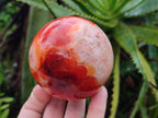 Polished Carnelian Agate Gemstone Spheres x 3 From Madagascar - Toprock Gemstones and Minerals 