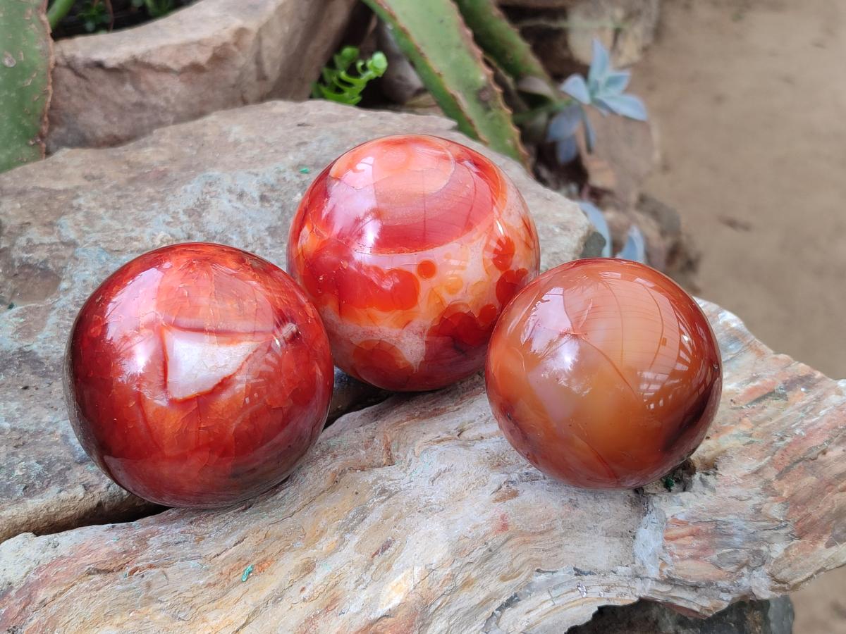 Polished Carnelian Agate Gemstone Spheres x 3 From Madagascar - Toprock Gemstones and Minerals 
