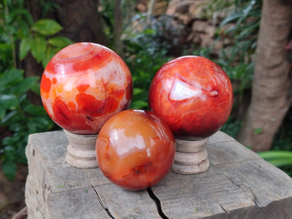 Polished Carnelian Agate Gemstone Spheres x 3 From Madagascar - Toprock Gemstones and Minerals 