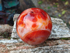 Polished Carnelian Agate Gemstone Spheres x 3 From Madagascar - Toprock Gemstones and Minerals 