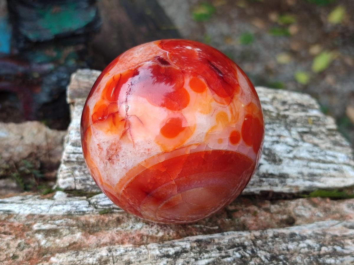 Polished Carnelian Agate Gemstone Spheres x 3 From Madagascar - Toprock Gemstones and Minerals 