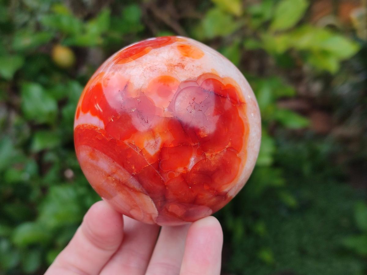 Polished Carnelian Agate Gemstone Spheres x 3 From Madagascar - Toprock Gemstones and Minerals 