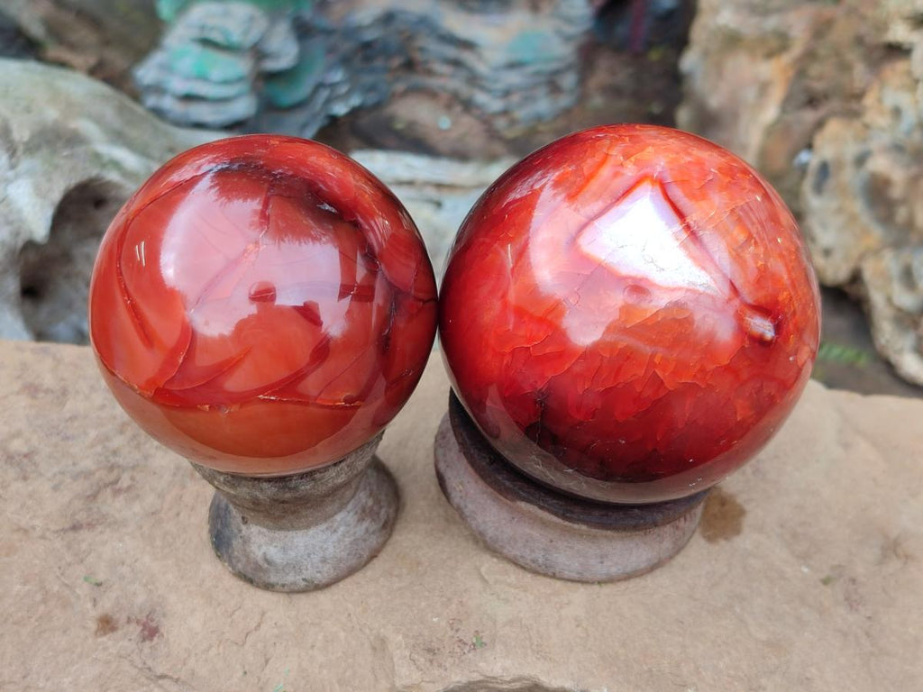 Polished Carnelian Agate Gemstone Spheres x 3 From Madagascar - Toprock Gemstones and Minerals 