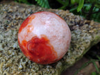 Polished Carnelian Agate Gemstone Spheres x 3 From Madagascar - Toprock Gemstones and Minerals 