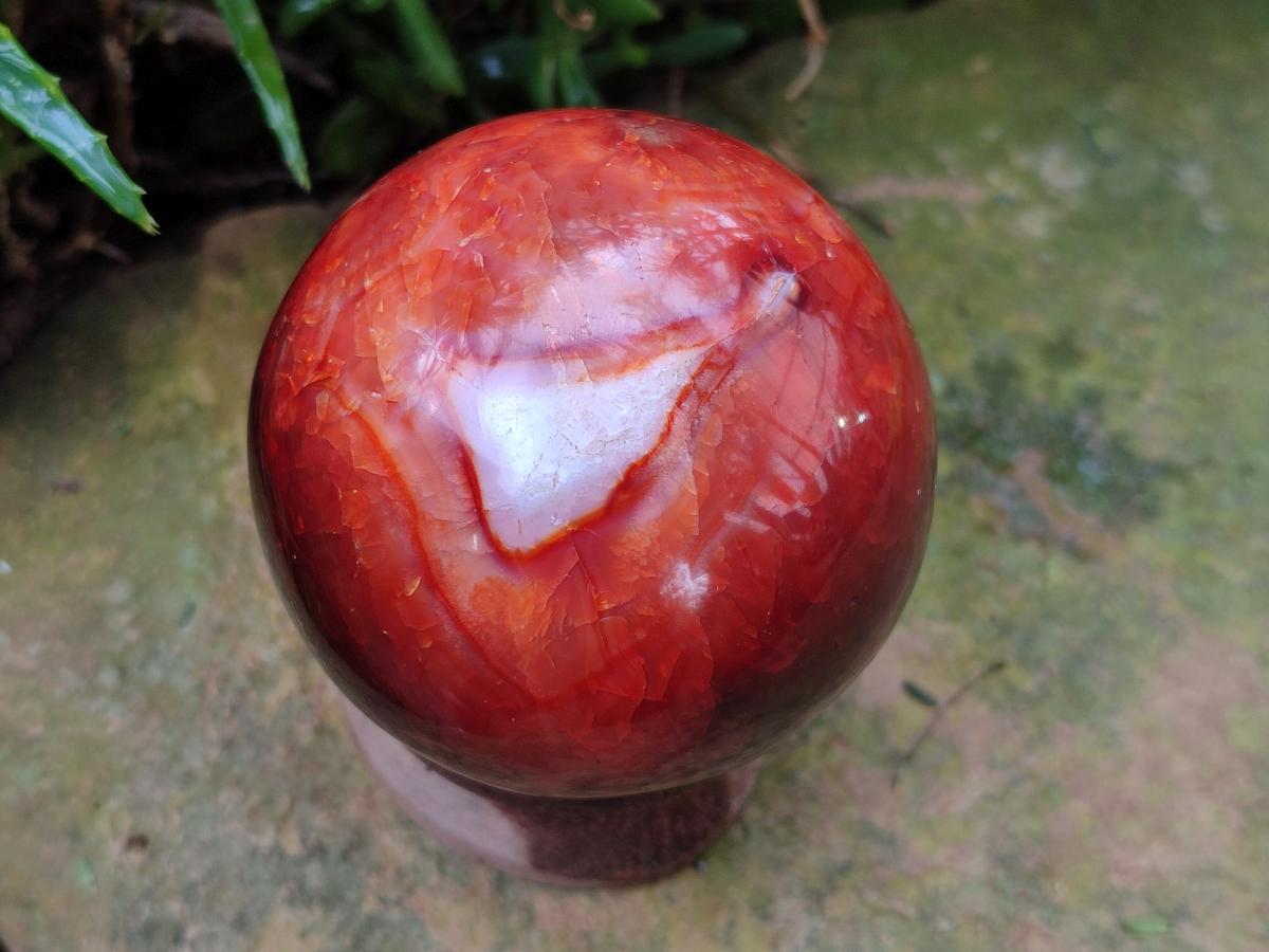 Polished Carnelian Agate Gemstone Spheres x 3 From Madagascar - Toprock Gemstones and Minerals 