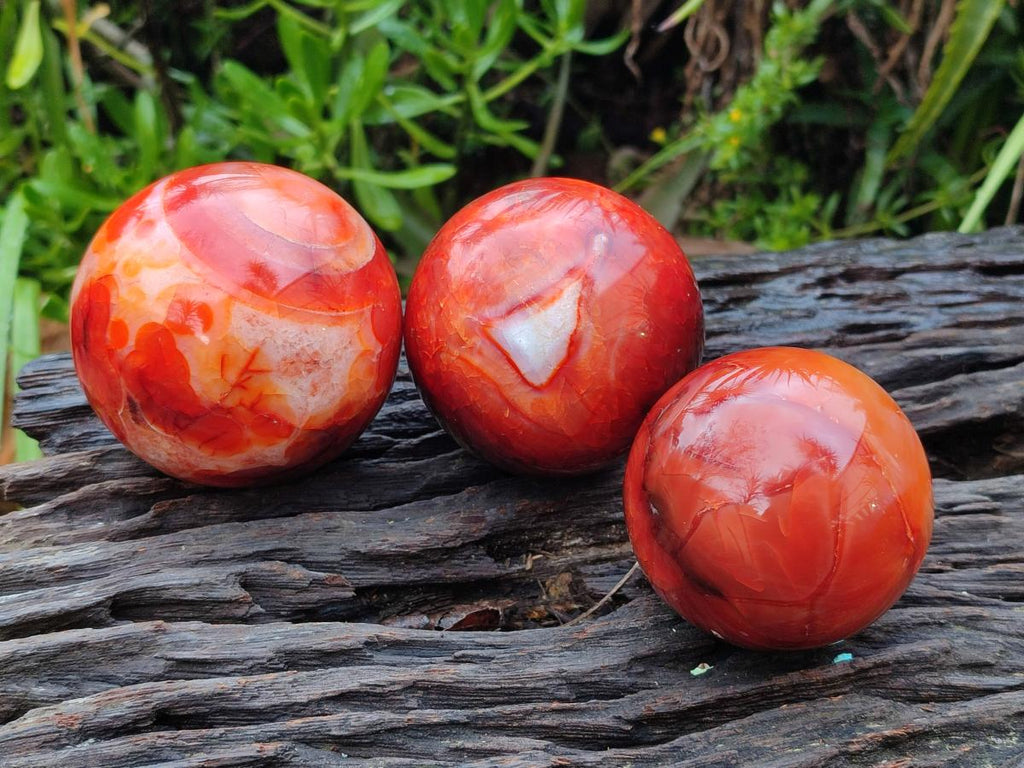 Polished Carnelian Agate Gemstone Spheres x 3 From Madagascar - Toprock Gemstones and Minerals 