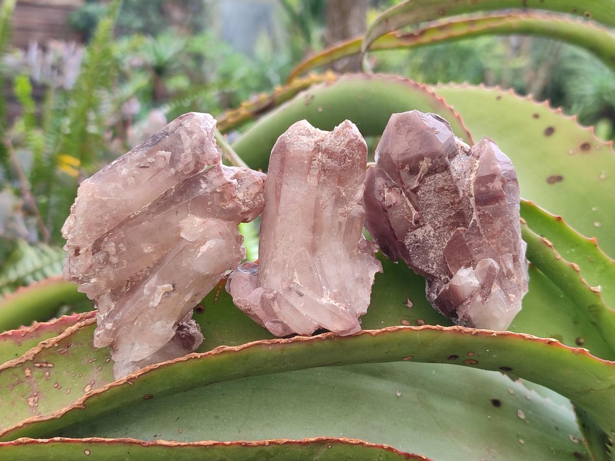 Natural Red Hematoid Quartz Crystals and Clusters x 24 From Karoi, Zimbabwe - Toprock Gemstones and Minerals 
