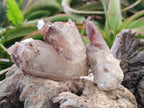 Natural Red Hematoid Quartz Crystals and Clusters x 24 From Karoi, Zimbabwe - Toprock Gemstones and Minerals 