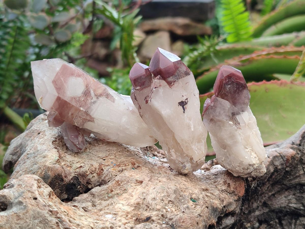 Natural Red Hematoid Quartz Crystals and Clusters x 24 From Karoi, Zimbabwe - Toprock Gemstones and Minerals 