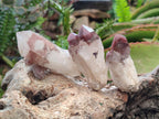 Natural Red Hematoid Quartz Crystals and Clusters x 24 From Karoi, Zimbabwe - Toprock Gemstones and Minerals 